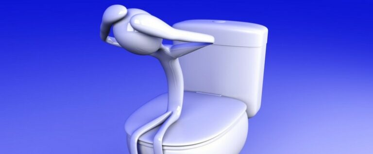 Toilet Troubles